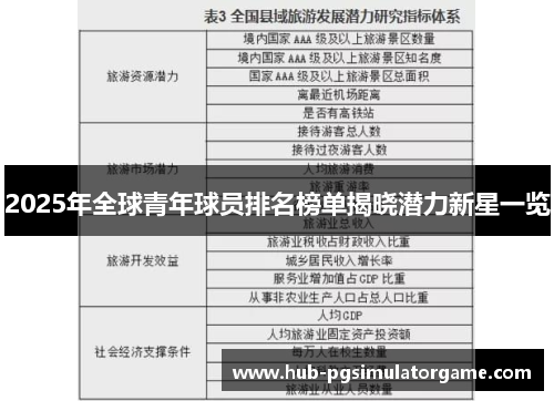 2025年全球青年球员排名榜单揭晓潜力新星一览