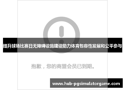 提升球场比赛日无障碍设施建设助力体育包容性发展和公平参与