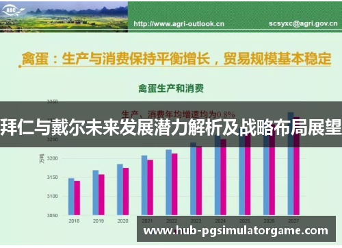 拜仁与戴尔未来发展潜力解析及战略布局展望