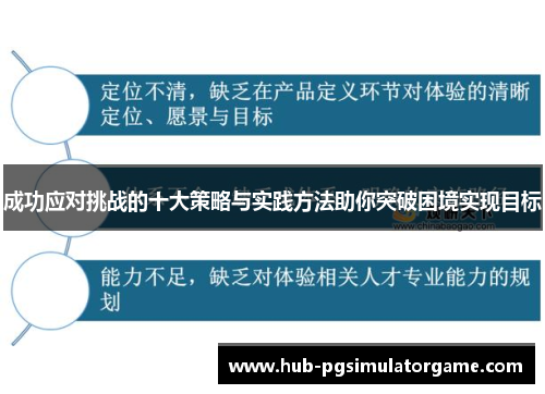 成功应对挑战的十大策略与实践方法助你突破困境实现目标