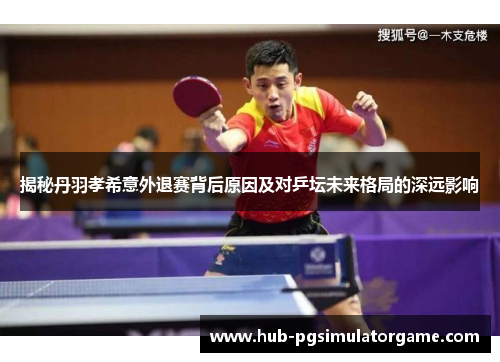 揭秘丹羽孝希意外退赛背后原因及对乒坛未来格局的深远影响