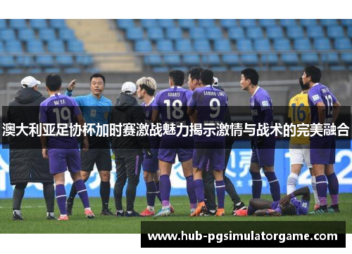 澳大利亚足协杯加时赛激战魅力揭示激情与战术的完美融合