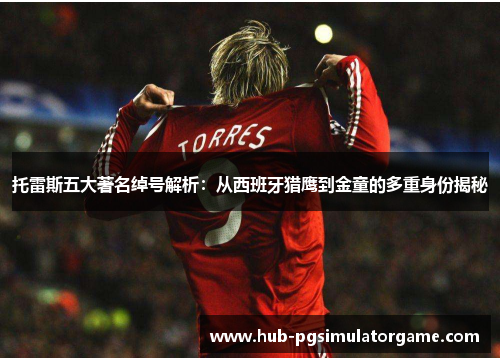 托雷斯五大著名绰号解析:从西班牙猎鹰到金童的多重身份揭秘 托雷斯五大著名绰号解析:从西班牙猎鹰到金童的多重身份揭秘