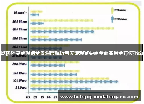 欧协杯决赛规则全景深度解析与关键观赛要点全面实用全方位指南 欧协杯决赛规则全景深度解析与关键观赛要点全面实用全方位指南