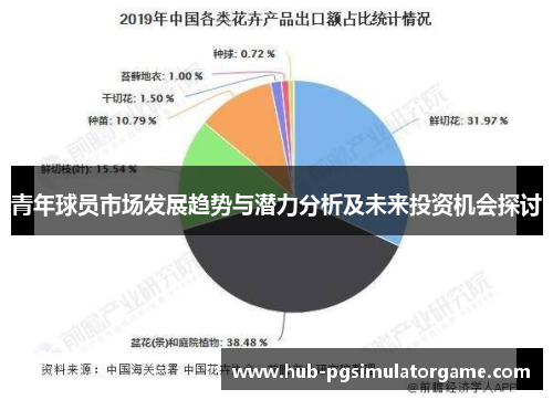 青年球员市场发展趋势与潜力分析及未来投资机会探讨