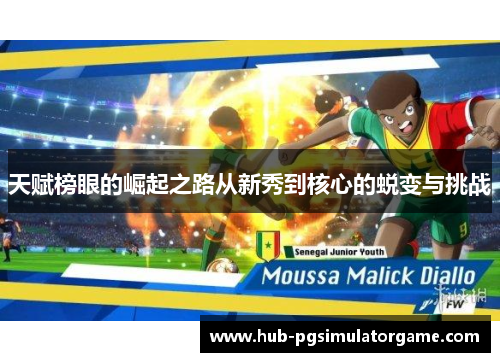 天赋榜眼的崛起之路从新秀到核心的蜕变与挑战