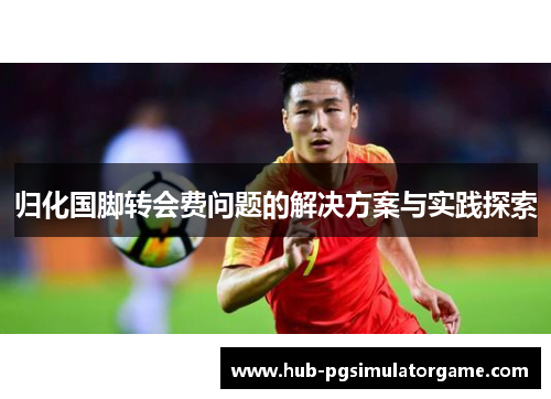 归化国脚转会费问题的解决方案与实践探索