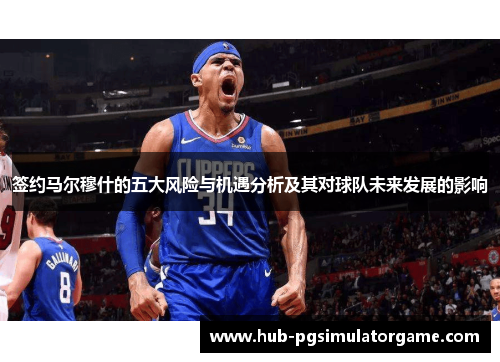 签约马尔穆什的五大风险与机遇分析及其对球队未来发展的影响