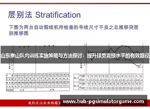 山东泰山队内训练实施策略与方法探讨：提升球员竞技水平的有效路径