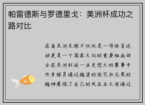 帕雷德斯与罗德里戈：美洲杯成功之路对比