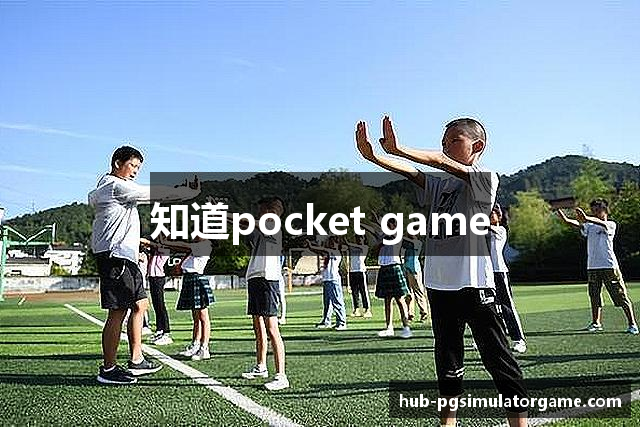 知道pocket game